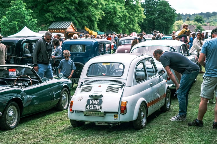 Afternoon at the Haslemere Classic Car Show Credit: Joe Devenny_HCCS
