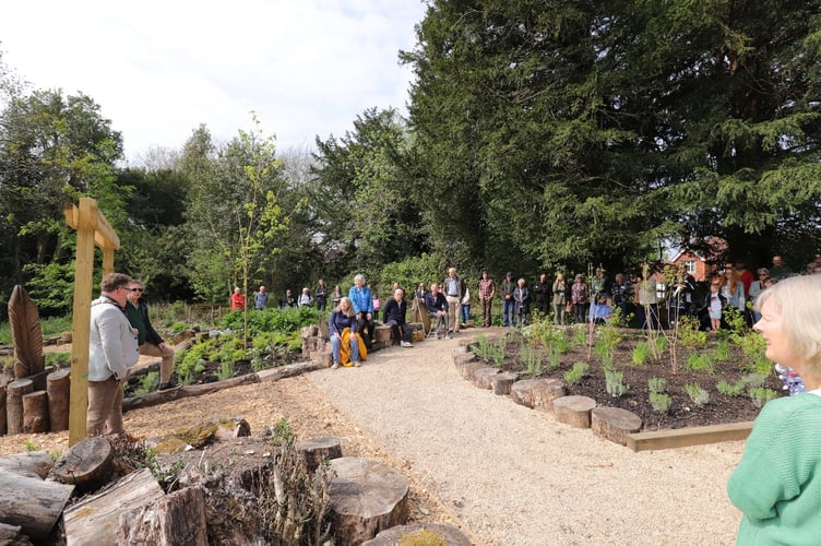 Sensory garden opens at Haslemere Museum 