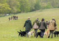 Gundogs ‘fetch’ £4,000 for Midhurst Palliative Care at Cowdray Challenge