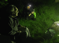WATCH: Wrecclesham's Mothman shines a light on nocturnal wildlife