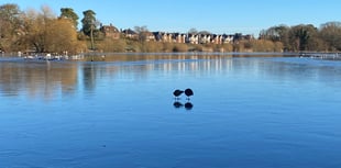 Steam trains and sailing - what could have been at Heath Pond