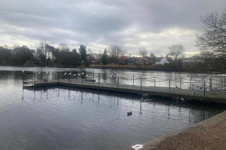 Petersfield Heath Pond Pontoon