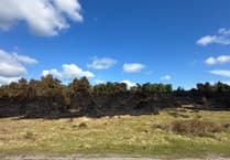 Campfire blamed for devastating wildfire in West Sussex