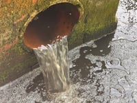 Your letters to the editor: Sea change for our rivers and coasts