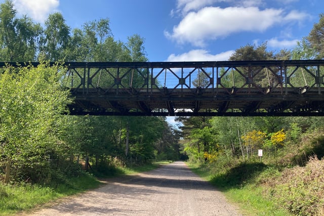 Expect more red flags at Longmoor as Army activity increases