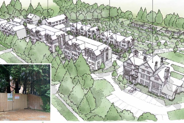 Is this Rake's biggest ever planning application?