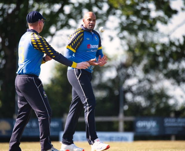 Brewers struggle against impressive Pompey