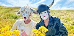 Bank robbers blow away the summer calm of a 1950s farm