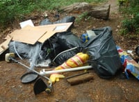 Down in the dumps: But council wants to fight back against fly-tippers
