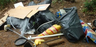Down in the dumps: But council wants to fight back against fly-tippers