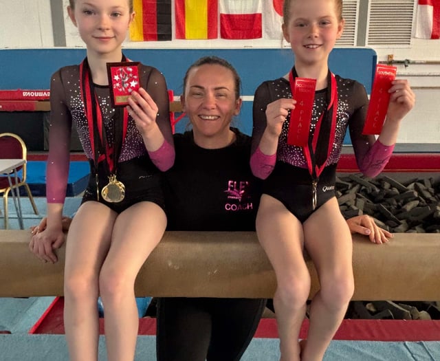 Petersfield gymnasts shine in regional competitions