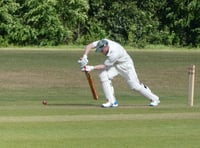 Waverley fall to heavy defeat at Frensham