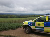 Stolen cars and weapons seized in clamp down on rural crime
