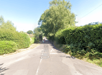 Inspector blocks new Haslemere development to protect trees