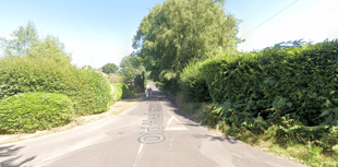 Inspector blocks new Haslemere development to protect trees