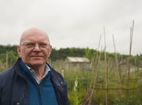 Community allotments attacked by vandals
