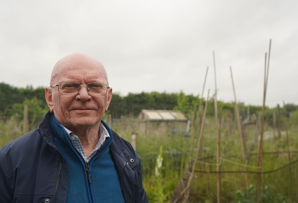 Community allotments attacked by vandals