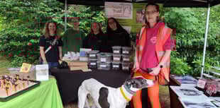 An event fur the ages as couple unite town with charity dog show