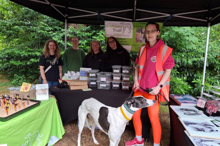 Bordon Dog Show Greyhound Trust