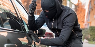 Liss residents warned following spate of vehicle break-ins