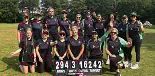 Grayshott Strikers triumph over Peper Harow