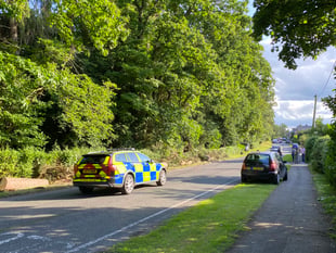 Greatham divided following tree fall on Petersfield Road