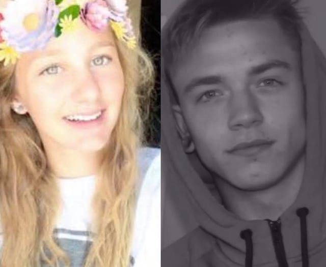 Teen suicides prompt mental health reform plea