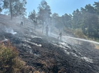 Common may take 'years to recover' from devastating wildfire