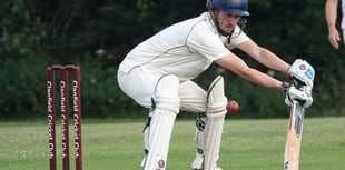 Clanfield's second team fall to Purbrook defeat
