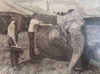Peeps into the Past: Farnham's really wild show