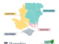 Hampshire's council consultation on governance