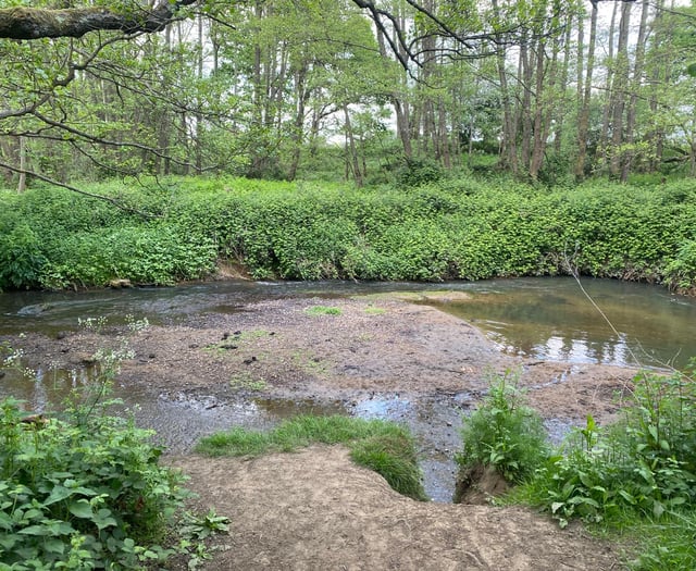 Firms to splash £350k on improvements at nature reserve