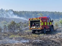 Hampshire's five-fold wildfire rise