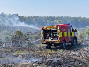 Hampshire's five-fold wildfire rise