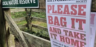 Dog poo threatens rare wildlife at Lynchmere