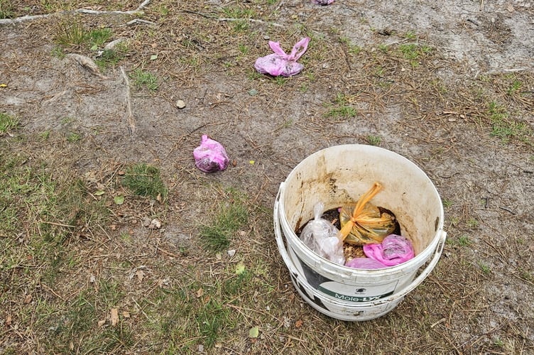 Plastic dog poo bags carelessly left among the heathland vegetation on Lynchmere Common