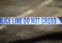 Several deaths involving Hampshire Constabulary last year