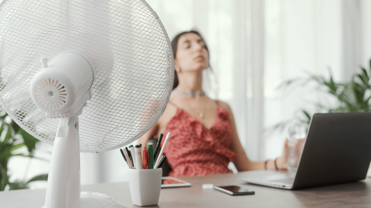 Heatwave: Live updates as Surrey and Hampshire swelters