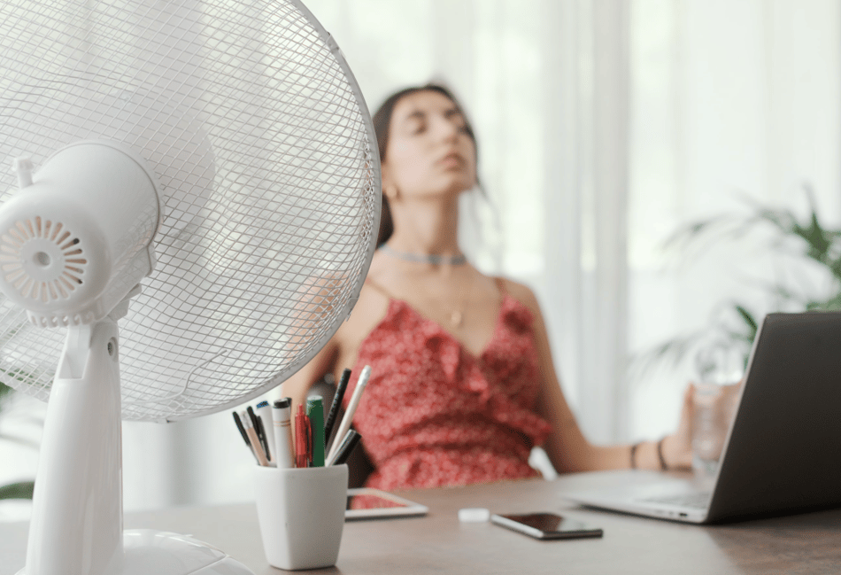 Heatwave warning: 32°C in Surrey and Hampshire