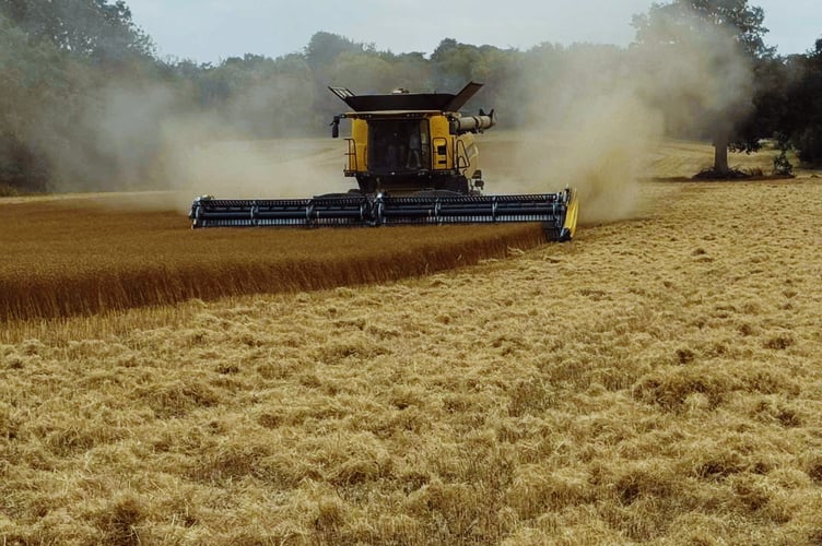 Cllr Phoebe Sullivan warns of the threats facing farmers in Surrey