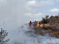 Campfire causes Churt wildfire
