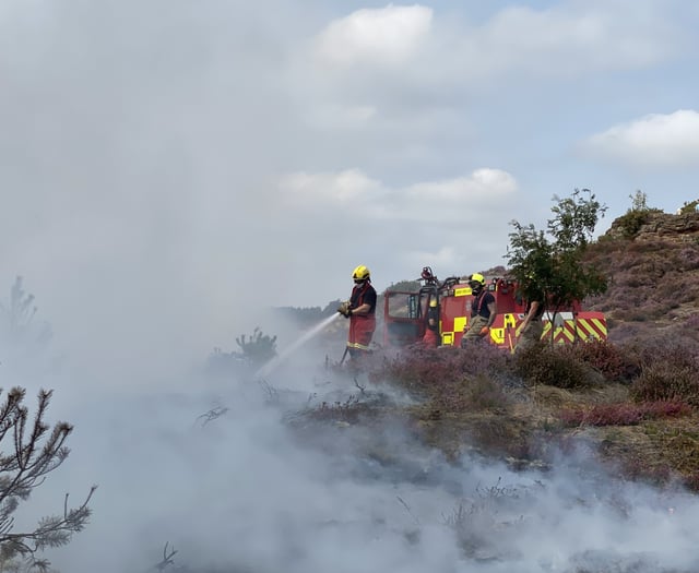 Campfire causes Churt wildfire