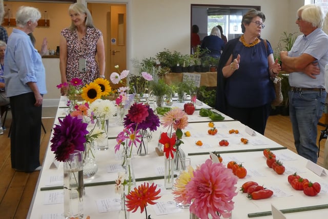 Hampshire and Surrey clubs and societies news