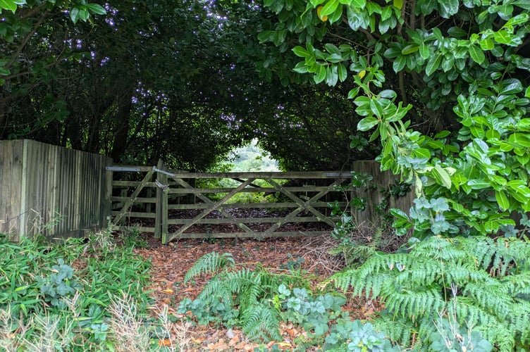 Nicols Field entrance