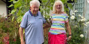Blooming brilliant: Liphook sunflower winners reach new heights