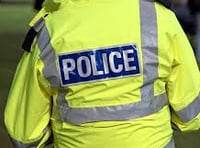 Haslemere man faces sentencing after police assaults