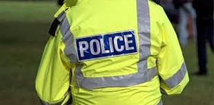 Haslemere man faces sentencing after police assaults