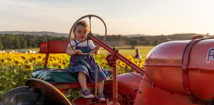 Thousands of visitors have enjoyed Cowdray’s Maize Maze this summer