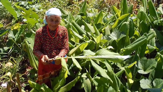 Hampshire and Surrey clubs and societies news