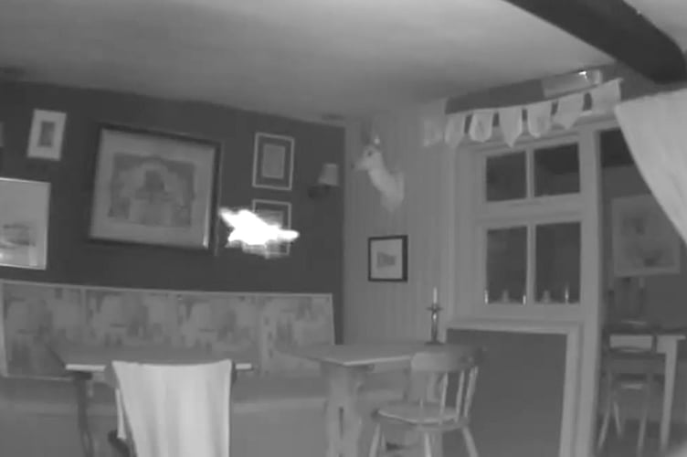 A mysterious flying creature assumed to be a fairy was captured on camera at a haunted Hampshire pub. Bizarre footage from The Brushmaker's Arms in Upham, Hampshire captured a mysterious flying creature during a paranormal investigation. Iain Lightfoot, 52, and Barry Depp, 53, spent the evening of July 30 at the pub investigating reported paranormal activity. Iain, who is currently writing a book on haunted pubs in the county, set up three cameras downstairs and one upstairs.
